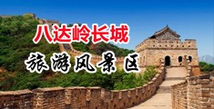 国外免费b2b网站麻豆中国北京-八达岭长城旅游风景区