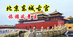 操六十老逼淫水多中国北京-东城古宫旅游风景区